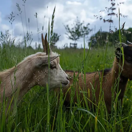Nuit *é* Toilée à La Ferme Du Petit Puyaume Glamping