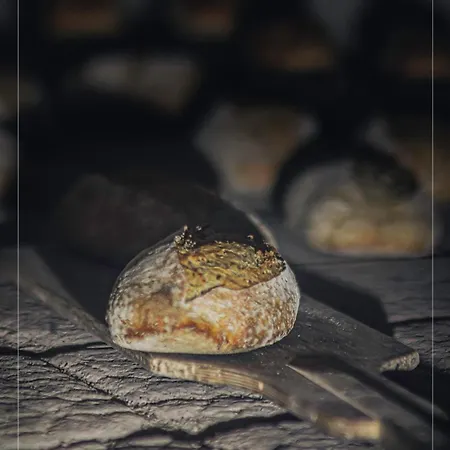 Nuit *é* Toilée à La Ferme Du Petit Puyaume * Montravers