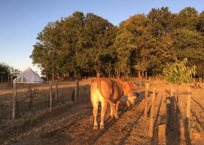Nuit *e* Toilee A La Ferme Du Petit Puyaume Montravers