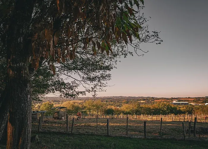 Nuit *e* Toilee A La Ferme Du Petit Puyaume *