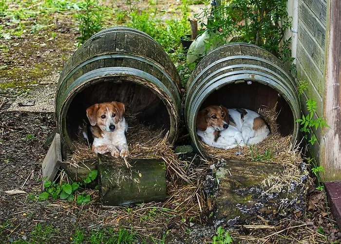 Nuit *e* Toilee A La Ferme Du Petit Puyaume Luxury tent Montravers