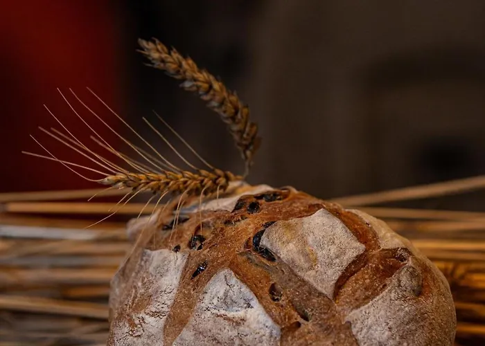 Nuit *e* Toilee A La Ferme Du Petit Puyaume Luxury tent *
