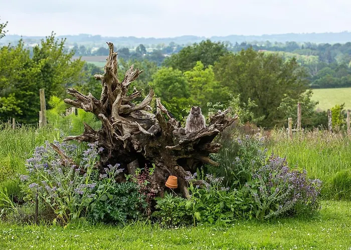 Nuit *e* Toilee A La Ferme Du Petit Puyaume